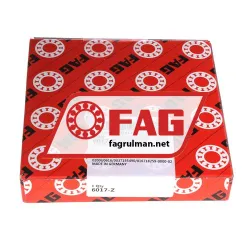 FAG 6017-Z rulman resim 3