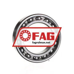 FAG 6010-C3