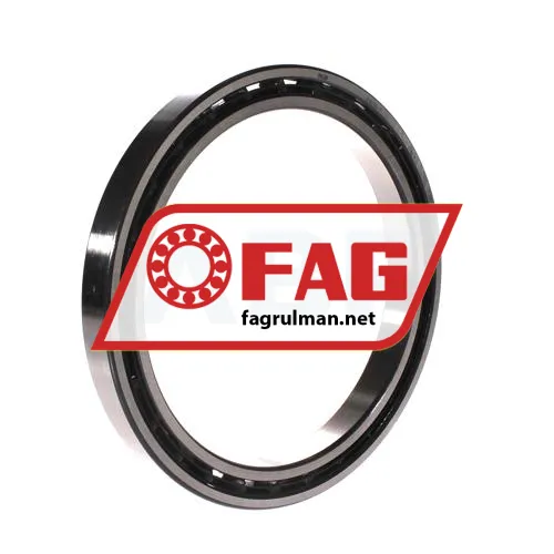 FAG 61828-T