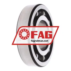 FAG 6321