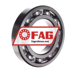 FAG 6218