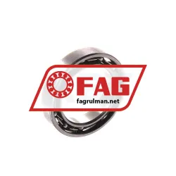 FAG 61700-HLC rulman resim 2
