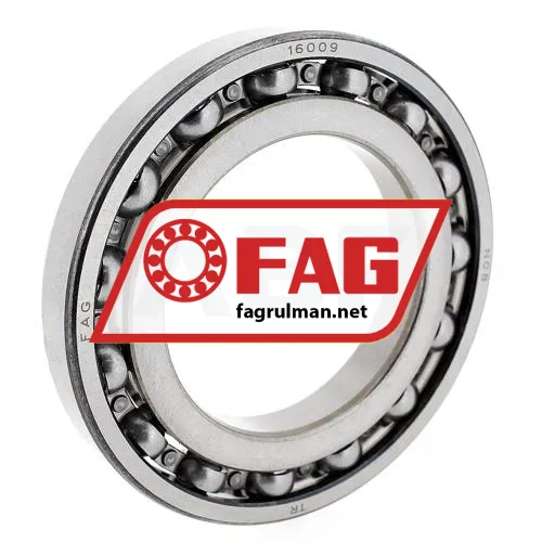 FAG 16009-A