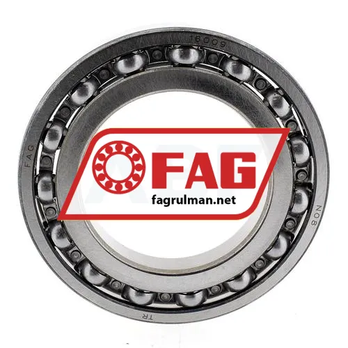 FAG 16009-A ürün fotoğrafı 2