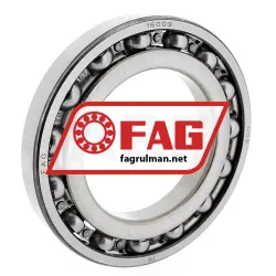 FAG 16009-A
