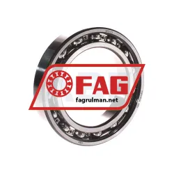 FAG 6013-C3