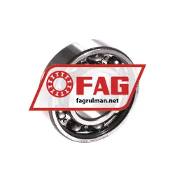 FAG 6004-C