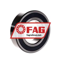 FAG F-563091-01-KL rulman resim 2