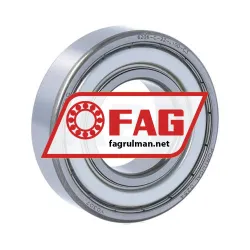 FAG 6206-C-2Z-L100-C3
