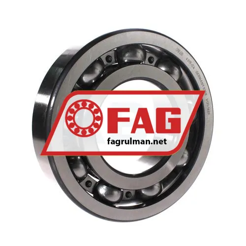 FAG 6319-C4