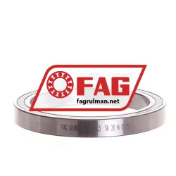 FAG 61809-2RZ-Y-C3 rulman resim 2