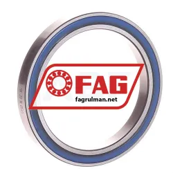 FAG 61809-2RZ-Y-C3 rulman resim 4