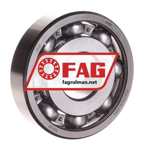 FAG 6407
