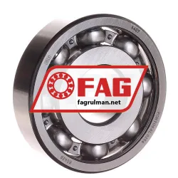 FAG 6407