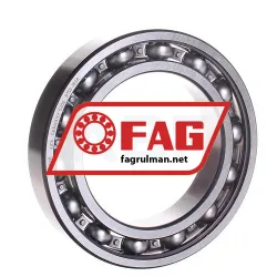 FAG 6016