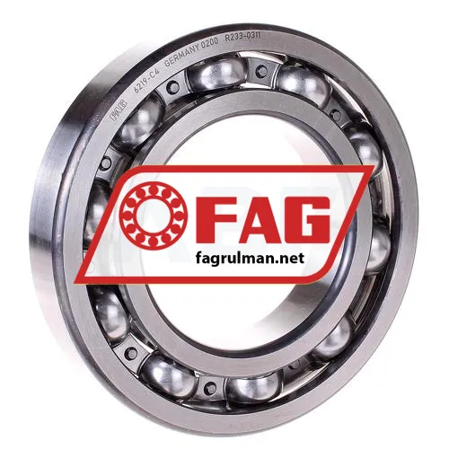 FAG 6219-C4