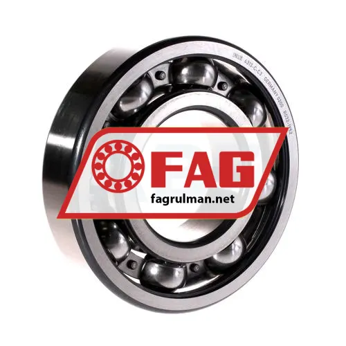 FAG 6313-C-C3
