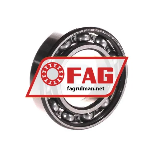 FAG 6006-C-C3