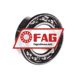 FAG 6006-C-C3