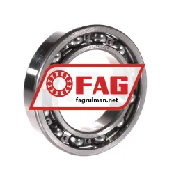 FAG 6011-H