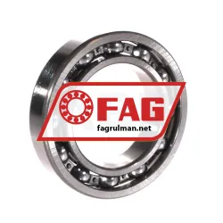 FAG 6011-H rulman resim 2