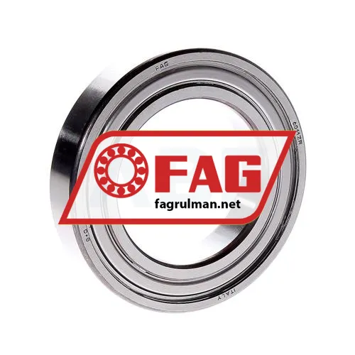 FAG 6011ZR