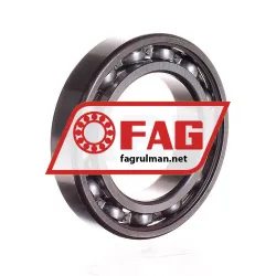 FAG 6011-C3
