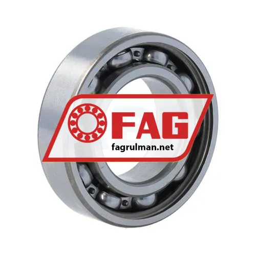 FAG 6005ZR ürün fotoğrafı 2