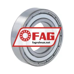 FAG 6005ZR