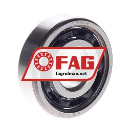 FAG 6304TVH-C4
