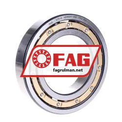 FAG 6215M