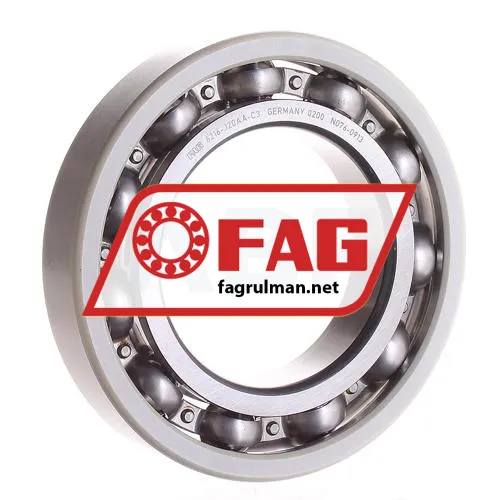 FAG 6216-J20AA-C3