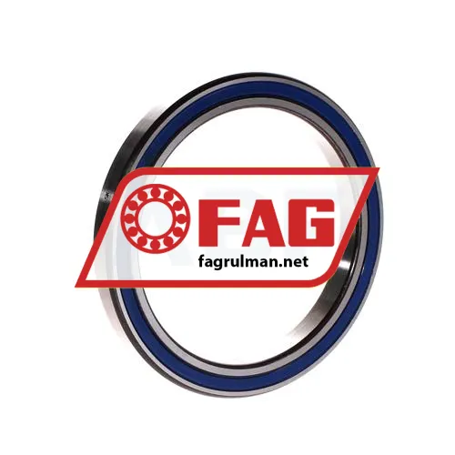 FAG 61818-2RZ-Y