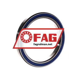 FAG 61818-2RZ-Y