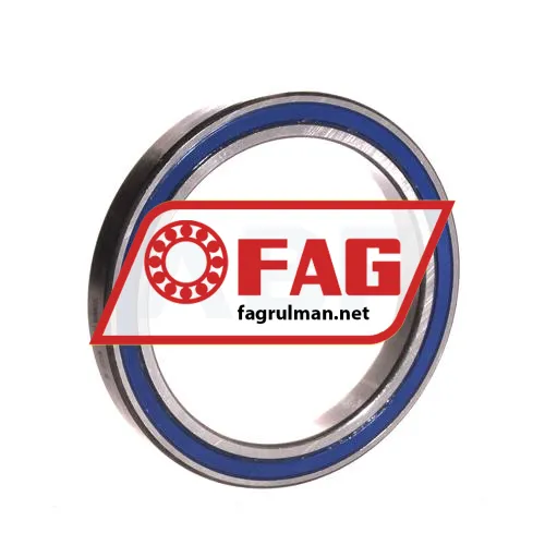 FAG 61813-2RZ-Y