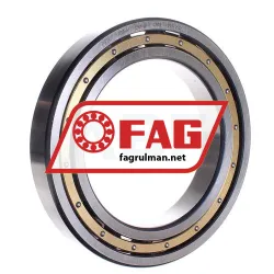 FAG 6030-M
