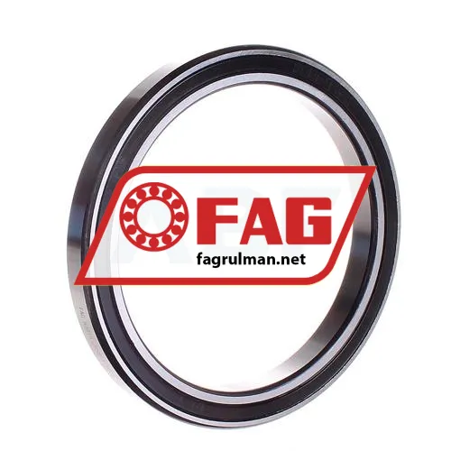FAG 61819-2RSR-Y