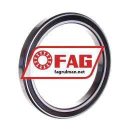 FAG 61819-2RSR-Y