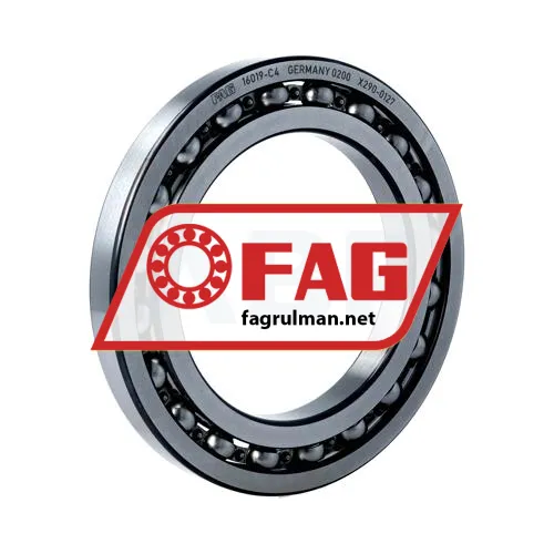 FAG 16019-C4