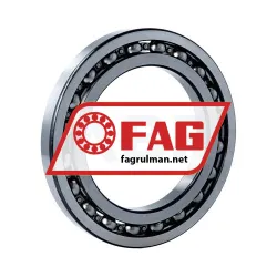 FAG 16019-C4 rulman resim 2