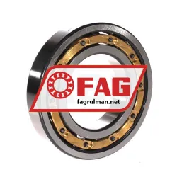 FAG 6213-M-C3 rulman resim 2
