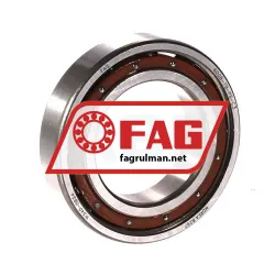 FAG 6008-TB-P6-C3