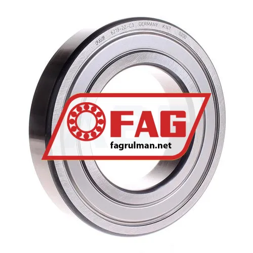 FAG 6219-2Z-C3