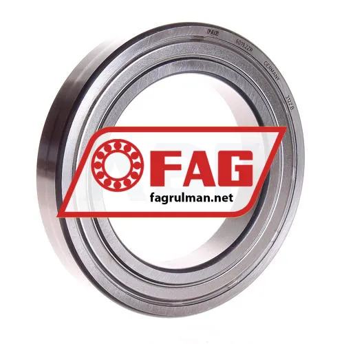 FAG 6019-2Z
