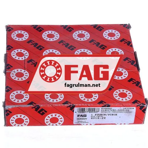 FAG 6019-2Z ürün fotoğrafı 3