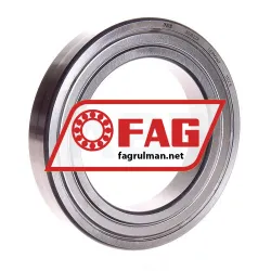 FAG 6019-2Z