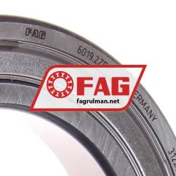FAG 6019-2Z rulman resim 2