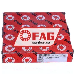 FAG 6019-2Z rulman resim 3