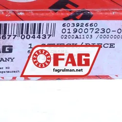 FAG 6019-2Z rulman resim 4