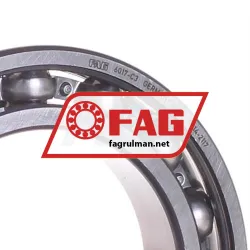 FAG 6017-C3 rulman resim 2